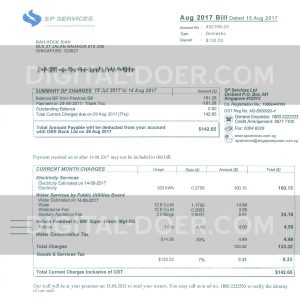 Singapore Utility Bill Template PSD